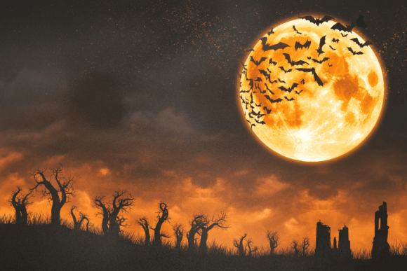 Download Spooky Halloween Night Background Bundle - Halloween Collection