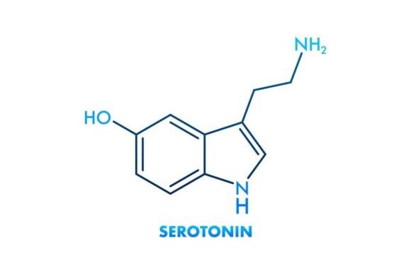 Download Vector Graphic. Serotonin Editable Strok - Vector graphic Collection
